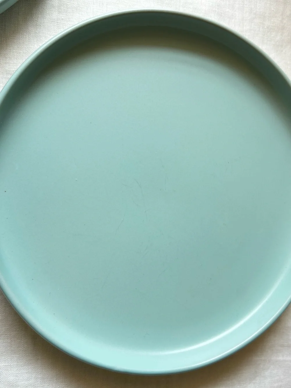 🌴Colorful Turquoise Semi-Matte Dinnerware Set of Two Plates